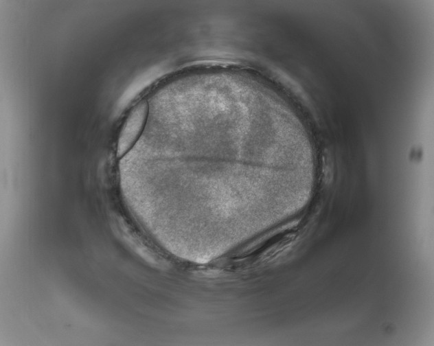 X0000112011352200909141116