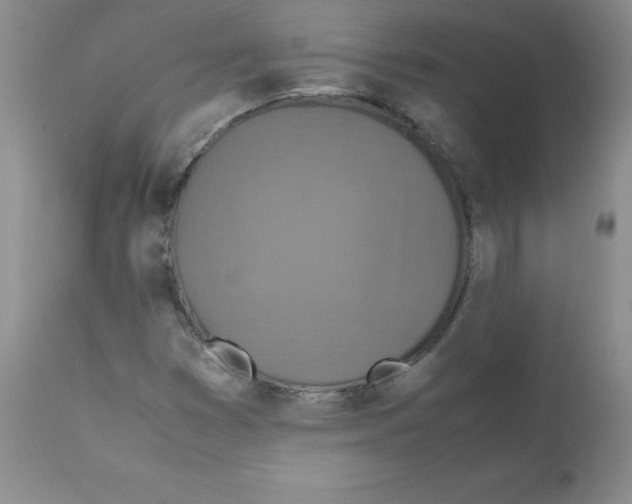 X0000112011353200909141116