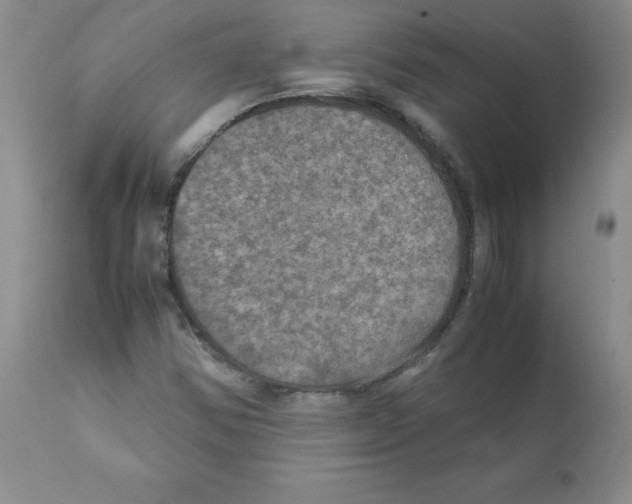 X0000112011354200909141116
