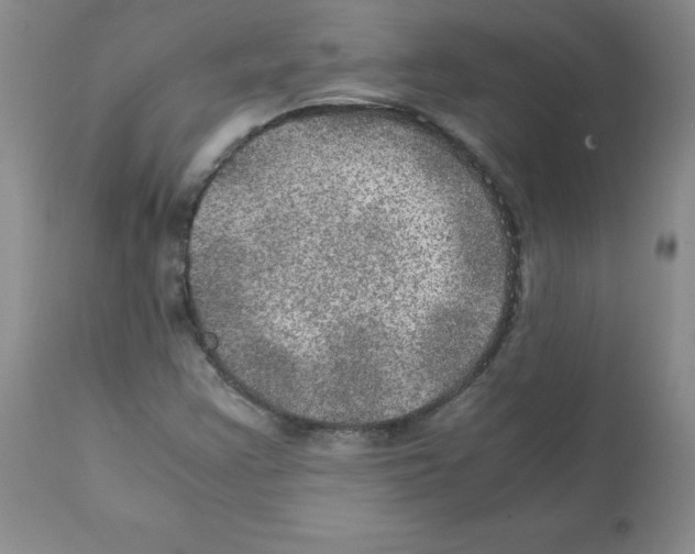 X0000112011355200909141116