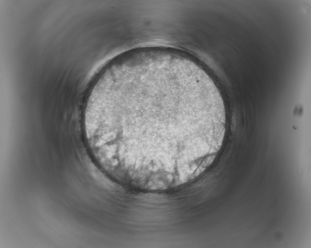 X0000112011356200909141116