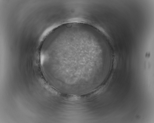 X0000112011358200909141116