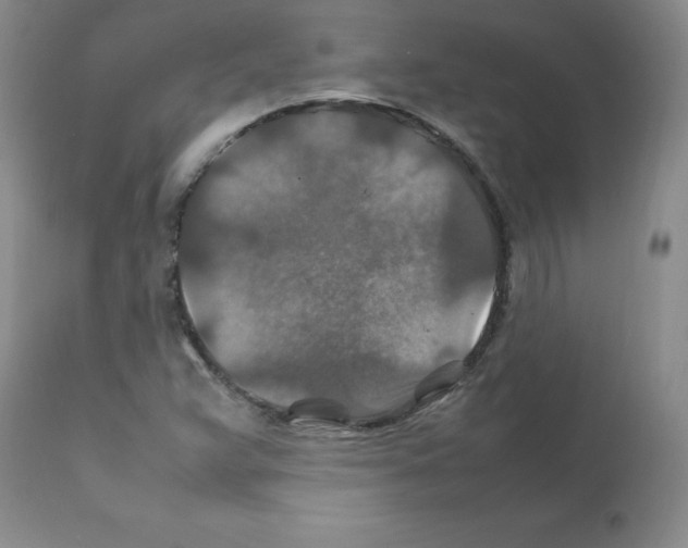 X0000112011359200909141116