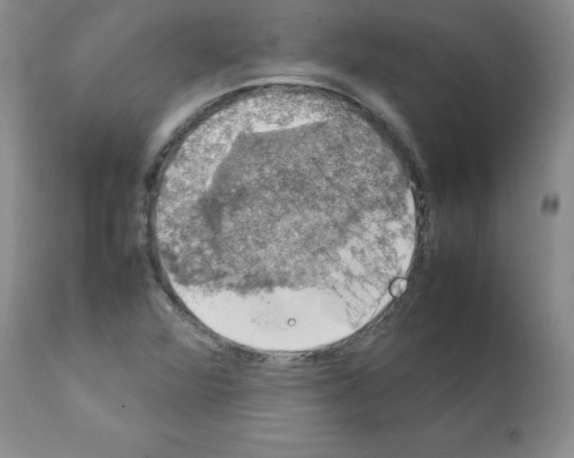 X0000112011360200909141116