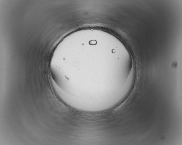 X0000112011361200909141116