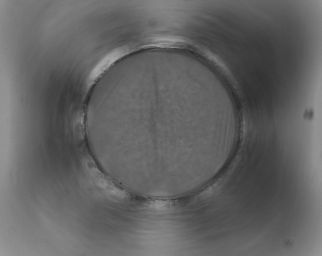 X0000112011362200909141116