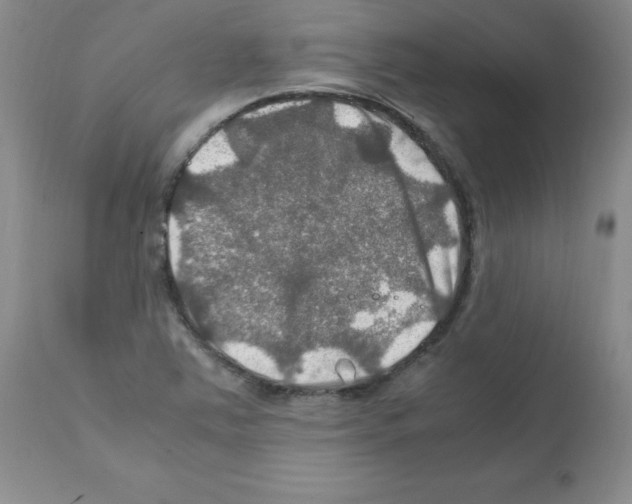 X0000112011363200909141116
