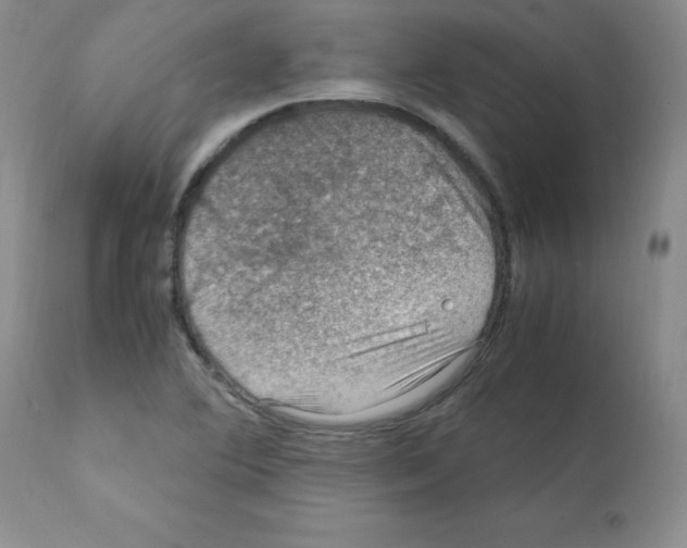 X0000112011364200909141116