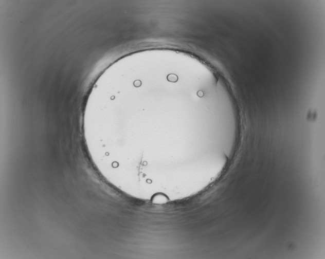 X0000112011365200909141116