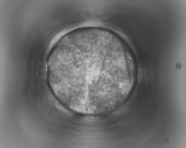X0000112011366200909141116