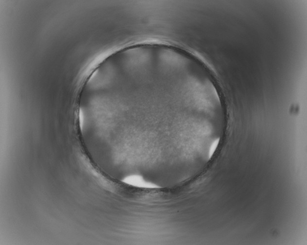 X0000112011367200909141116