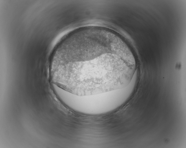 X0000112011368200909141115