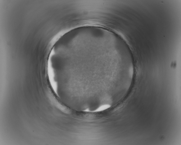 X0000112011371200909141115