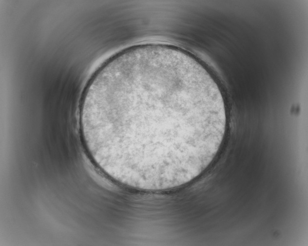 X0000112011372200909141115