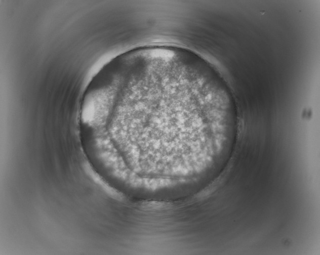 X0000112011374200909141115