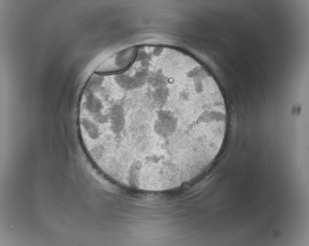 X0000112011375200909141115