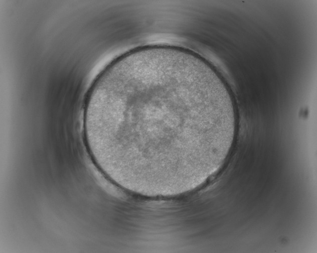 X0000112011376200909141115