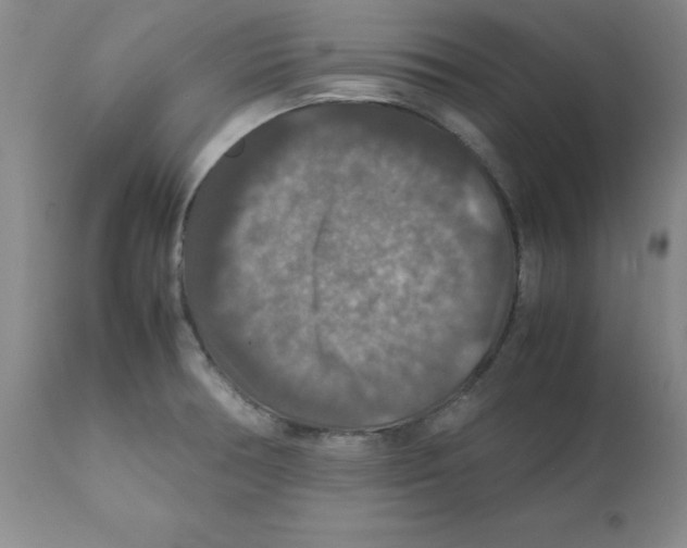 X0000112011378200909141115