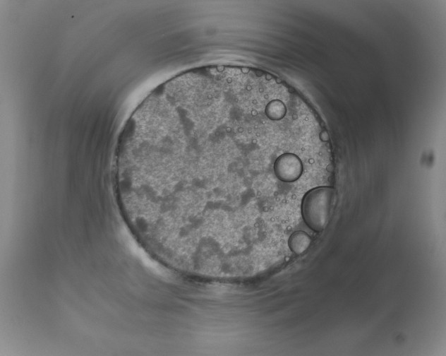 X0000112011379200909141115