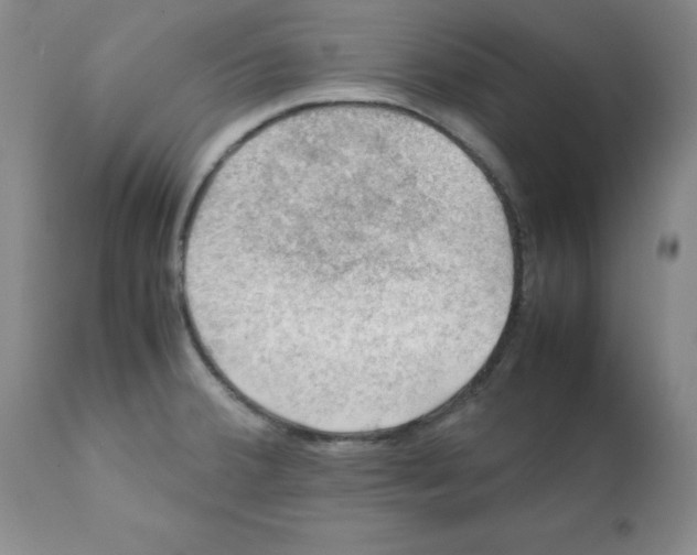 X0000112011380200909141115