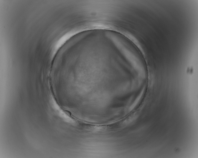 X0000112011381200909141115