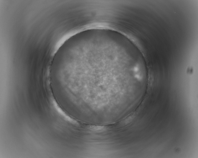 X0000112011382200909141115