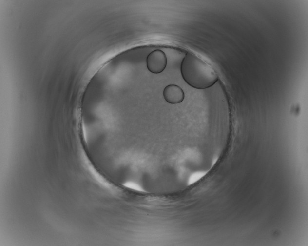 X0000112011383200909141115