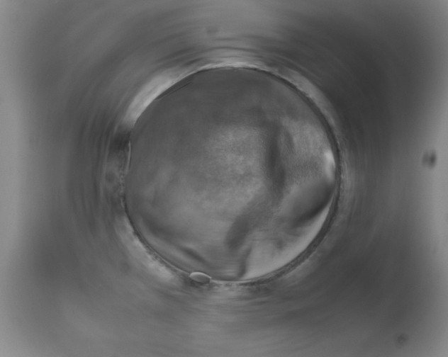 X0000112011385200909141115