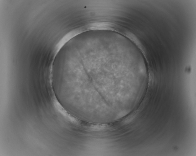 X0000112011386200909141115