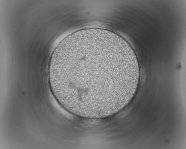 X0000112011387200909141115