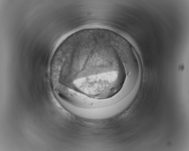 X0000112011388200909141115
