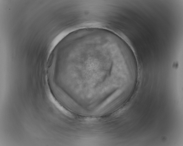 X0000112011389200909141115