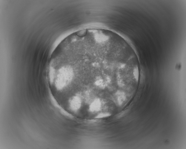 X0000112011390200909141115