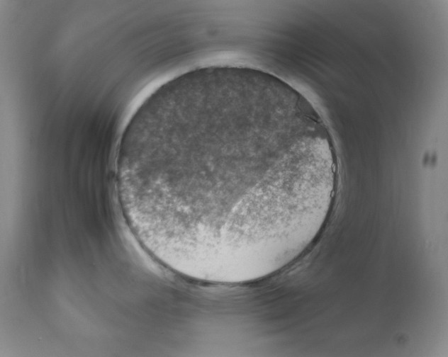 X0000112011392200909141115