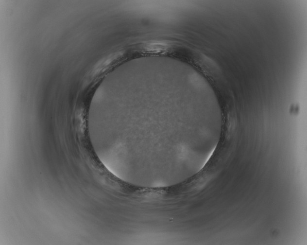 X0000112011394200909141114