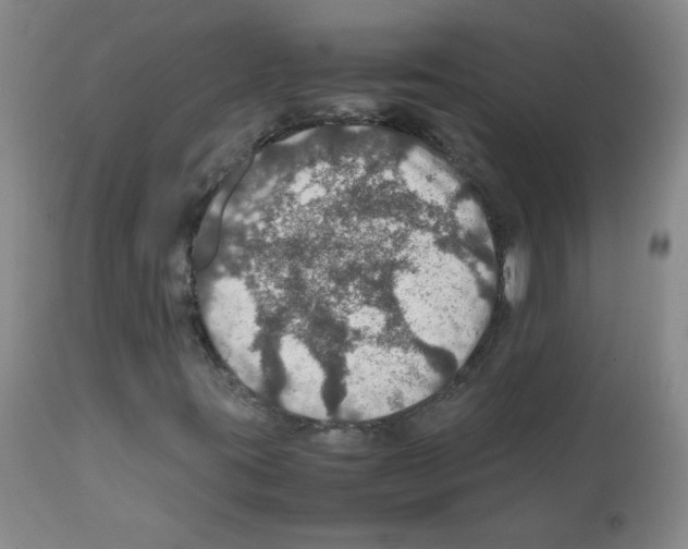 X0000112011395200909141114