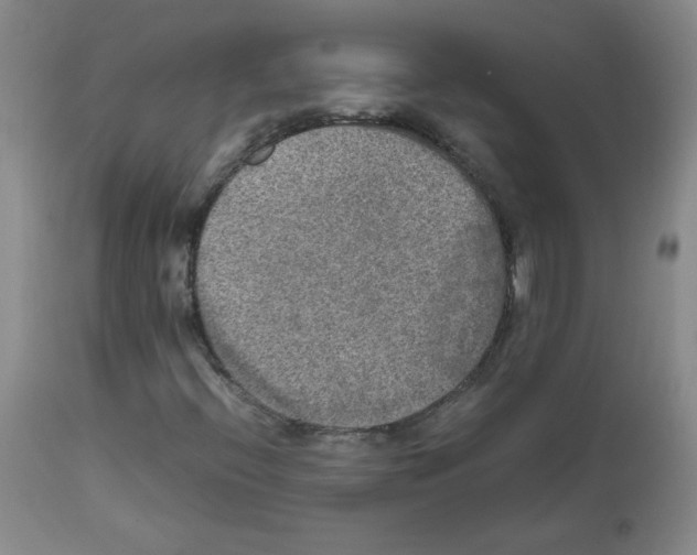 X0000112011396200909141114