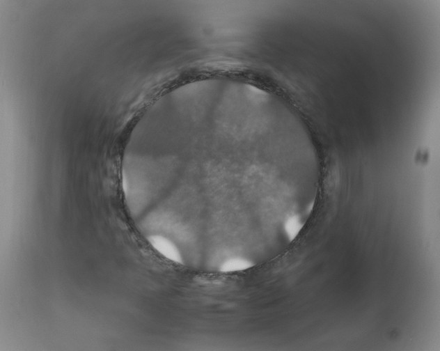 X0000112011397200909141114