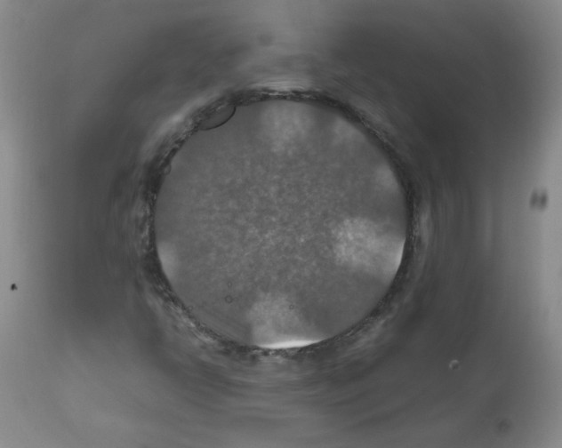 X0000112011398200909141114