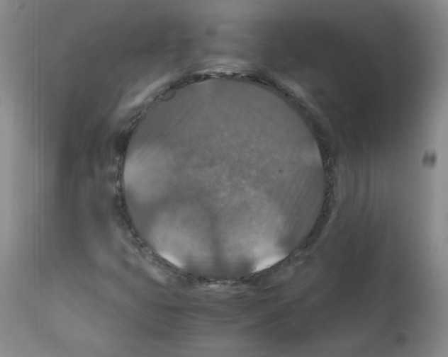 X0000112011399200909141114