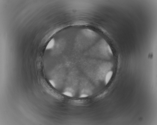 X0000112011401200909141114