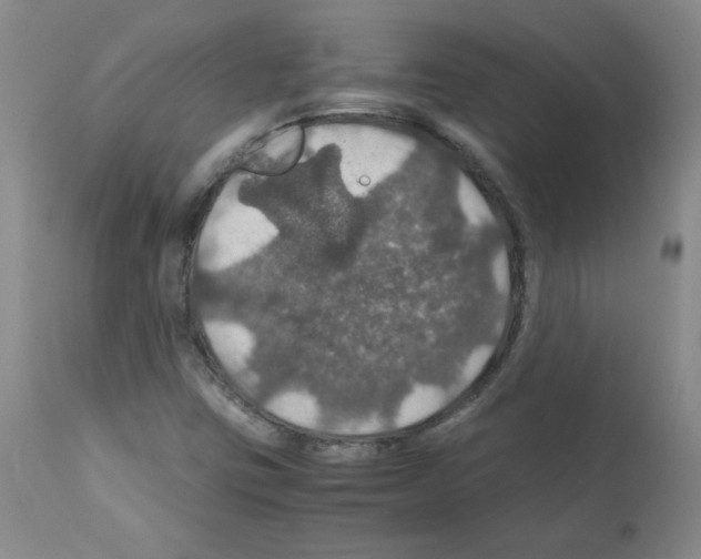 X0000112011403200909141114