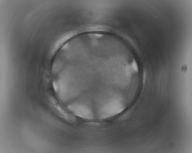 X0000112011405200909141114