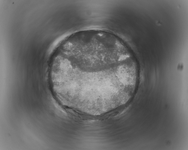 X0000112011406200909141115