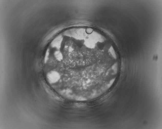 X0000112011407200909141115