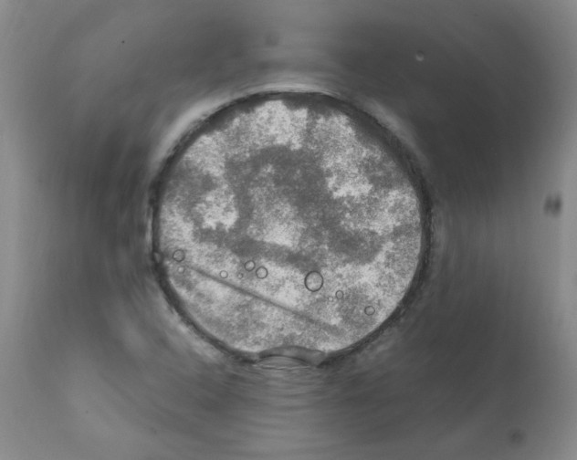 X0000112011408200909141115