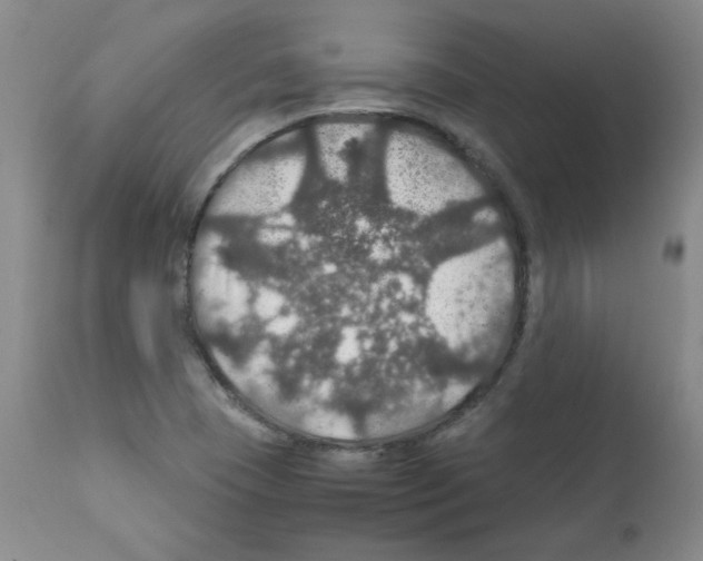 X0000112011409200909141115