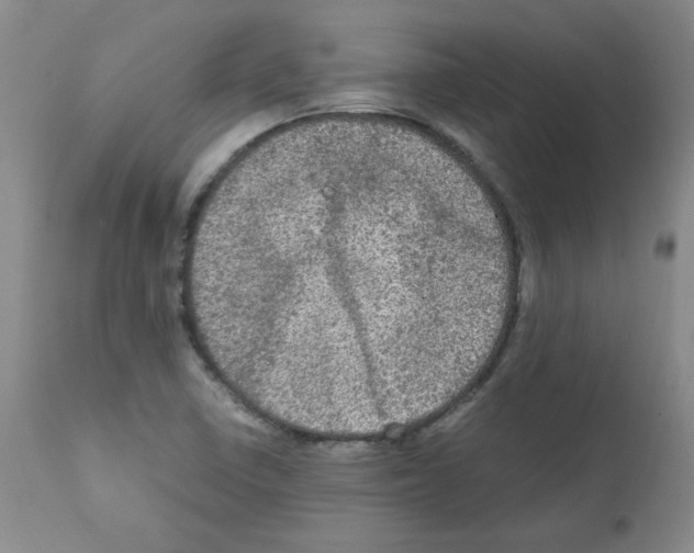 X0000112011410200909141115