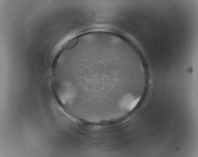 X0000112011411200909141115