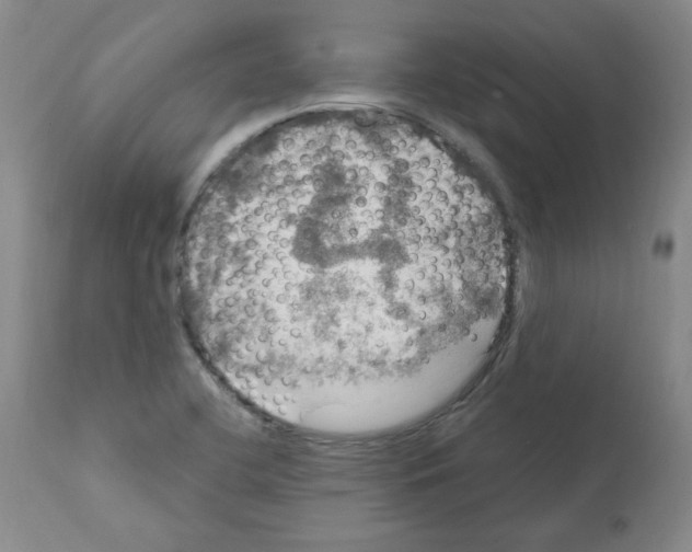 X0000112011412200909141115